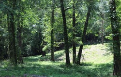 5005 Northwood Lake Drive East, Northport, AL 35473