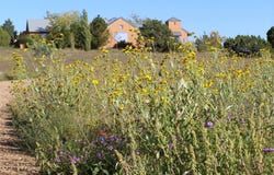 145 Bishop Lamy Road, Lamy, NM 87540
