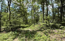 7 E East State Road 56, Paoli, IN 47454