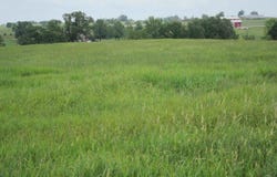 Rural Route, Chariton, IA 50049-8385