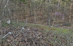 112 Mill Bridge, Lampe, MO 65681