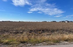 268 Chambers Creek Trail, Alvarado, TX 76009
