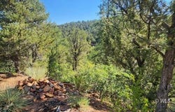 TBD L 43rd Trail, Cotopaxi, CO 81223
