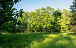 S Manning Hill Road, Lachine, MI 49753