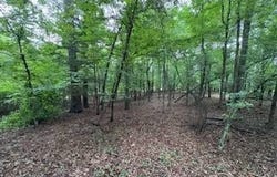 TBD Luffey Rd., Farmerville, LA 71234