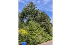 Tl 300 SW Dolores Drive, Waldport, OR 97394