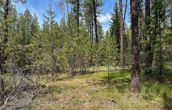 3792 M E Jump Off Rd, Valley, WA 99181