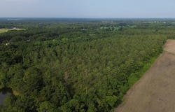 53 +/- A Bond RD, Cairo, GA 39827