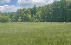 Tract #13 Hunter Ray Way, Albany, KY 42602