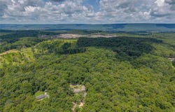 400 RACE HORSE Drive, Summerville, GA 30747