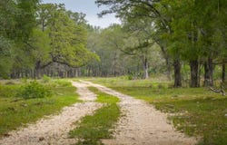 1320 San Marcos Hwy, Luling, TX 78648