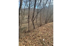 Starlight Ln, Boones Mill, VA 24065