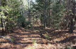4+/- AC Lot 1 Skyline Road unit: 1, Chester, SC 29706