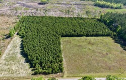 TBD Moselle Road, Islandton, SC 29929