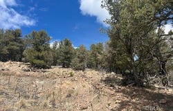 143 Ive Place, Cotopaxi, CO 81223