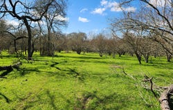 40499 Garrett Rd, Brookshire, TX 77423
