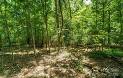 Setzer Drive, Morganton, NC 28655