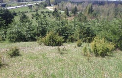 39 Road, Cadillac, MI 49601