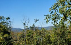 68 Silver Lake Rd, Frelinghuysen Twp., NJ 07825-4122