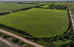 TBD 20th Road, Central City, NE 68826