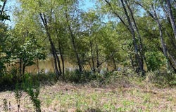 Stoney Point, Odem, AR 71961