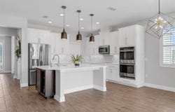 32004 REDTAIL RESERVE BOULEVARD, SORRENTO, FL 32776