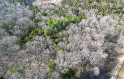 Lot 6 Parkview Dr., Blackwell, MO 63626
