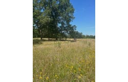 Tract 4  Highway 83, Howe, OK 74940