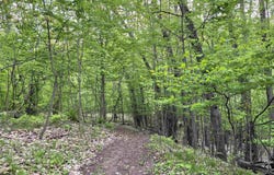 587 CROSS COUNTRY Court, HOBART, WI 54155-0000