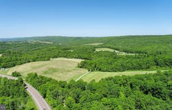 5 ACRES CHESTNUT RIDGE Road, GRANTSVILLE, MD 21536