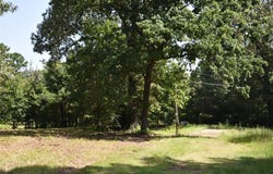 1390 Fm 906 W, Powderly, TX 75473