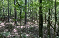 0 Poe Bridge Road, Goodwater, AL 35072