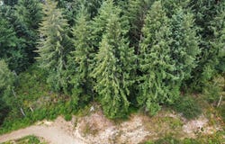TL 400 ERHART Rd, Florence, OR 97439