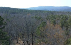 Cold Springs Road, Waldron, AR 72958