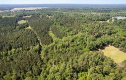 19.21 ac Pearces Rd, Brooklyn, MS 39425