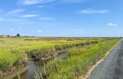 MATTHEWS RD lot: 117, SAXIS, VA 23427