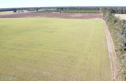 72 Nw Place, Bell, FL 32619