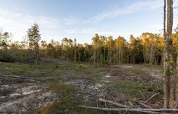 0 Whitehouse Fork Road, Bay Minette, AL 36507