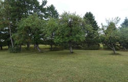 14806 N Baltimore Road, Bruce Crossing, MI 49912