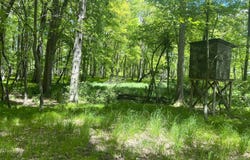 0 Struthers Road, Grass Lake, MI 49240