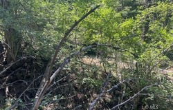 Ranch Rd., Alturas, CA 96101