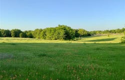 4180 FM 3371, Thornton, TX 76687