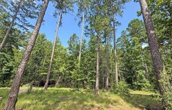TBD TX-204, Cushing, TX 75760