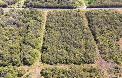 GLENWOOD RD, Volcano, HI 96785