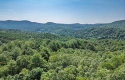 56.6 Ac Cutcane Road, Mineral Bluff, GA 30559
