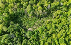 Sheffield Drive, Centertown, KY 42328