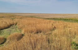 TBD County Road N, Eads, CO 81036