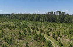 0 Deer Run Road, Other, GA 30474