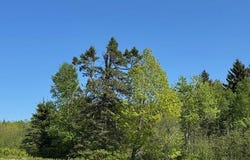 104 County Road, Eastport, ME 04631