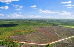 Tract 1 Morris Break, Odum, GA 31555
